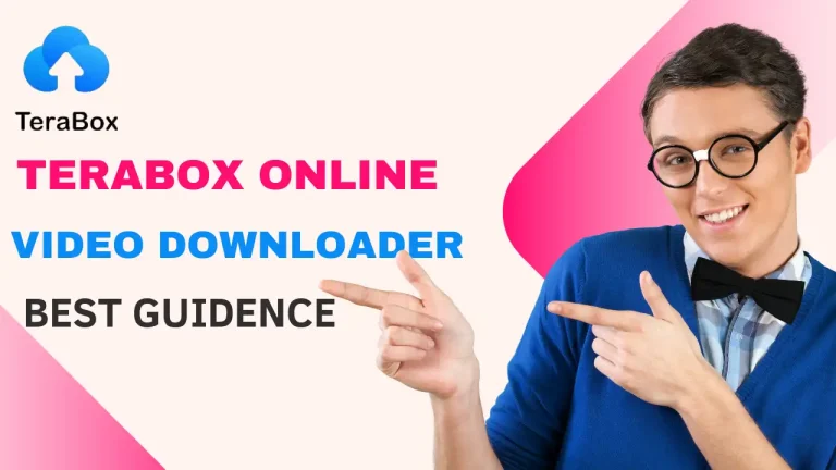 Terabox Online Video Downloader